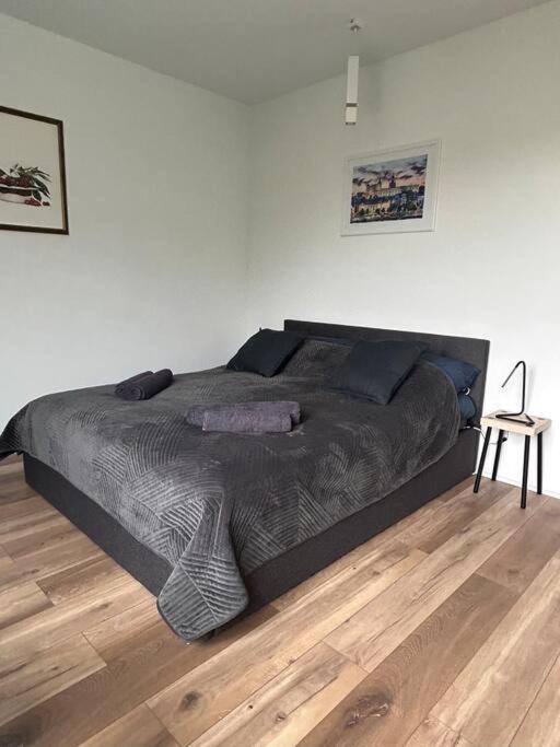 Apartament Stary Szczecin Ngoại thất bức ảnh