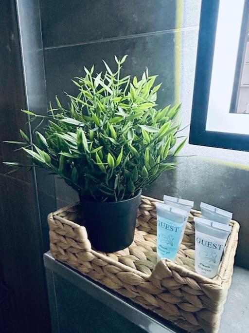 Apartament Stary Szczecin Ngoại thất bức ảnh