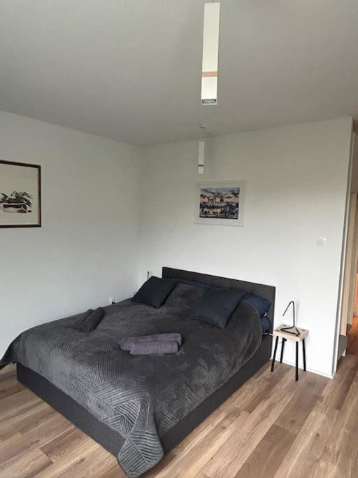 Apartament Stary Szczecin Ngoại thất bức ảnh