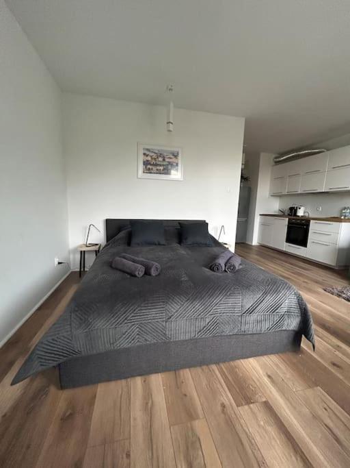 Apartament Stary Szczecin Ngoại thất bức ảnh
